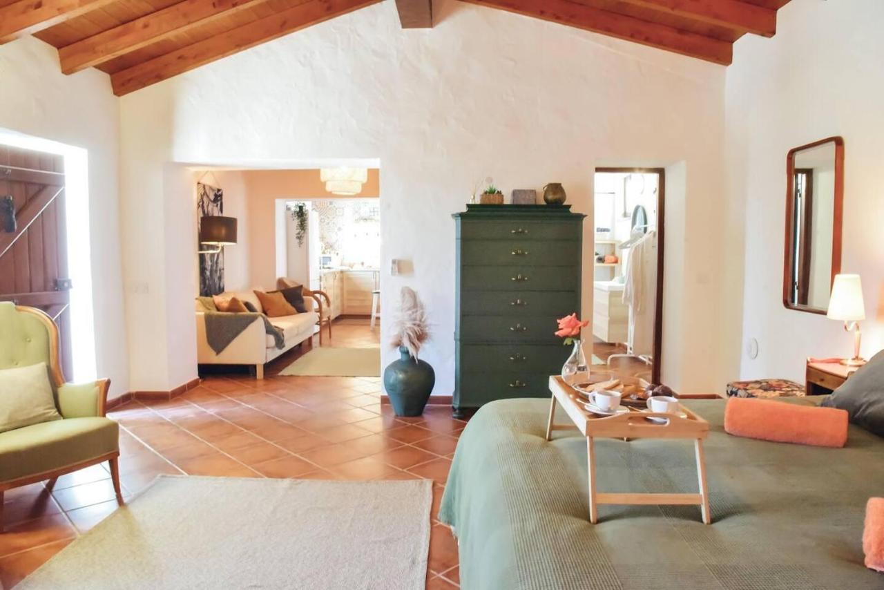Cosy Farmhouse Quinta Da Eira 140 Years Old Loulé Dış mekan fotoğraf